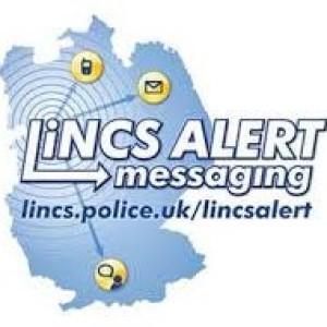 300X300 lincs alert
